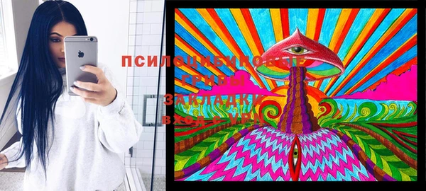 2c-b Алексин